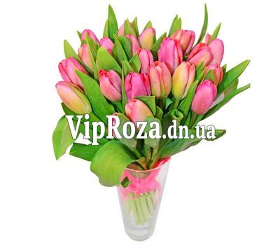 Букет із 21 рожевого тюльпана