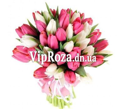 Букет із 55 тюльпанів