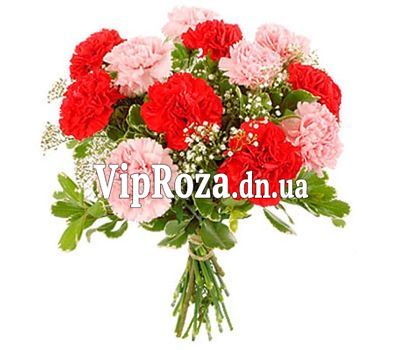 Букет із 11 гвоздик і гіпсофіли