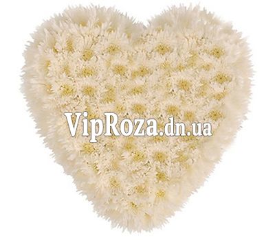 25 хризантем