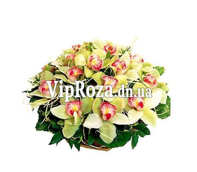 Кошик квітів з 19 орхідей