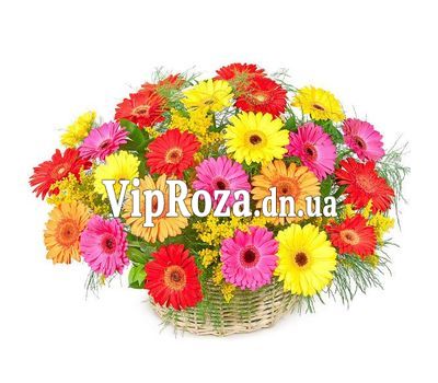 Кошик квітів з 25 гербер