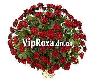 Кошик з 101 червоної троянди