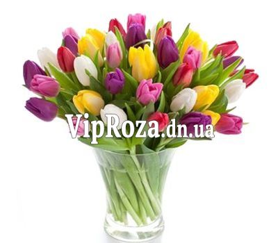 Букет із 55 тюльпанів