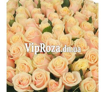 Кремові троянди поштучно