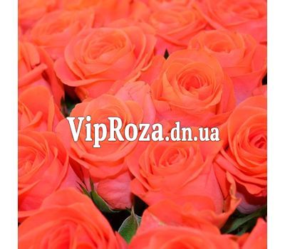 Помаранчеві троянди поштучно