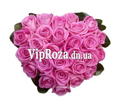 27 рожевих троянд