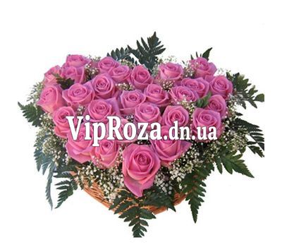 27 рожевих троянд