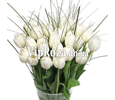 Букет із 35 білих тюльпанів