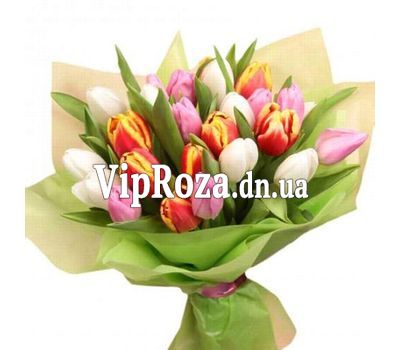 Букет із 27 різнокольорових тюльпанів