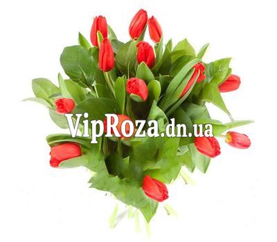 Букет із 15 червоних тюльпанів