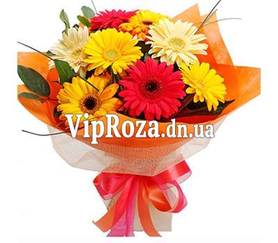 Букет із 9 різнокольорових гербер