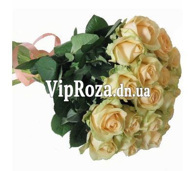 Букет із 19 троянд