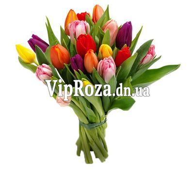Букет із 19 тюльпанів